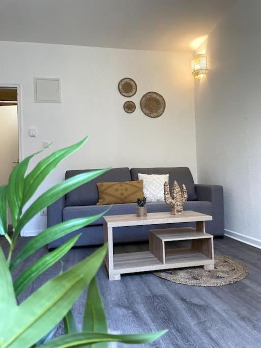 La Topaze Jaune - Appartement Romans-sur-Isère